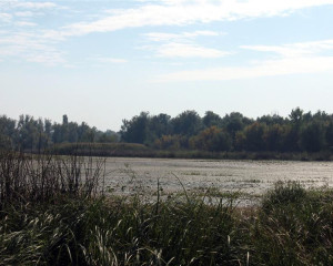 img 4550 biljana panjkovivc  medium 