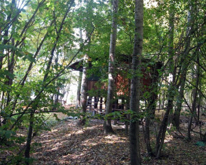 img 4559 biljana panjkovivc  medium 