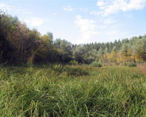 img 4573 biljana panjkovivc  medium 