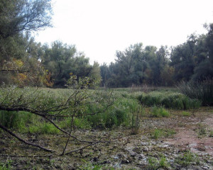 img 4585 biljana panjkovivc  large 