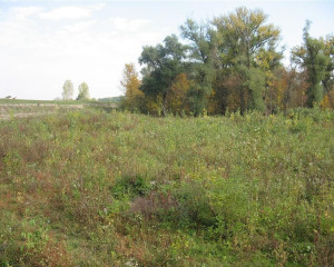 img 4588 biljana panjkovivc  medium 