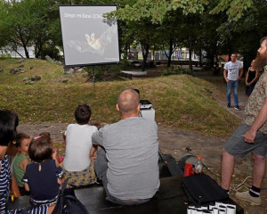 NOC SLEPIH MISEVA 17  Large   Medium 