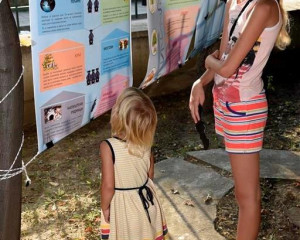 NOC SLEPIH MISEVA 5  Large   Medium 