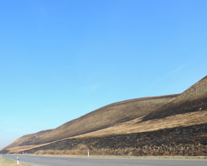 Titelski breg opozareno