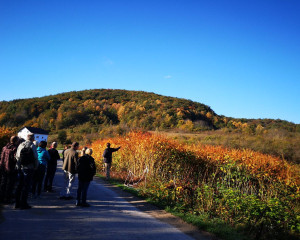 sava ties sastanak 03