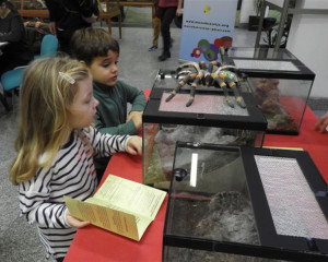 17 radionice 2   Copy  Large 