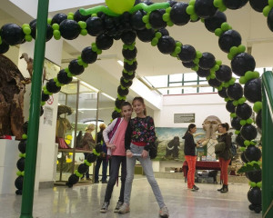 29 radionice 16   Copy