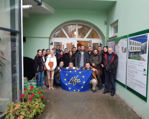 IMG 0dbb19b929d1166dd872001a6775c0ae V