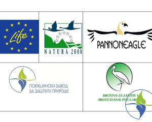 Screenshot 2016 11 28 10.39.35 1785 800 600 80 wm right bottom 100 watermarkpng