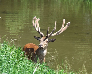 Copy  2  of DSCF1804