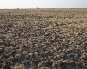 2 Unisteno stepsko staniste kod Sajana