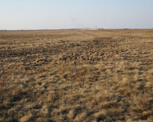 3 Stepe nestaju preoravanjem