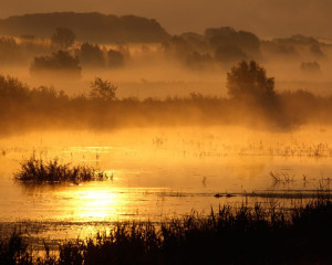 Annotation 2020 07 16 093015