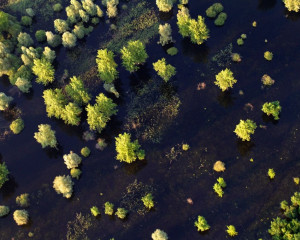 Annotation 2020 07 16 093116