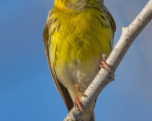 Annotation 2020 07 23 155713