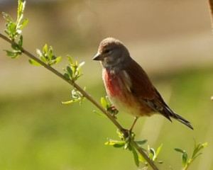 Annotation 2020 07 23 155732