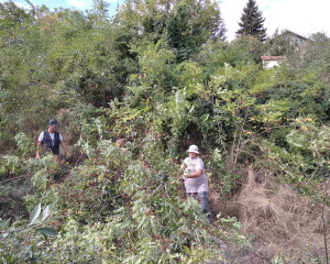 IMG 20200923 111545 1