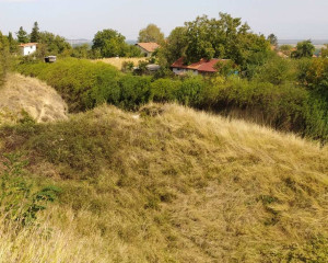 IMG ff7b0f63eb457a53ec56264177e13024 V