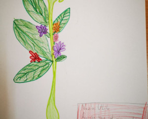 1948c429d7261f485865bf4cdfcbdc78b00d8e27