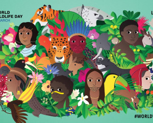 50929494817 36e459f4d5 k