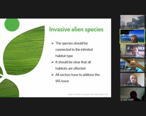 72d931d6134f396239b27af375a9d702038e0325