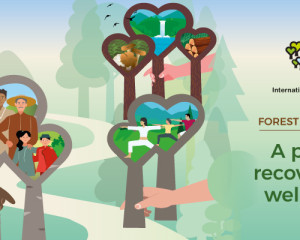 IDF WEB BANNER 900X400 EN