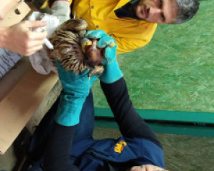 IMG 20201230 152255264