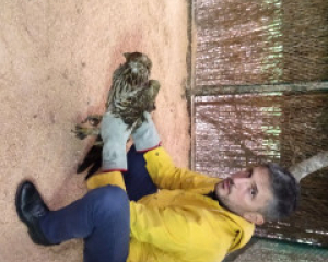 IMG 20201230 152516799