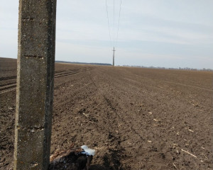 IMG 20210311 133844370