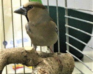 IMG eb654f189805ab8ddb1fab0cef53db1c V