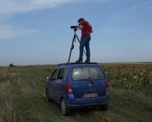 ugrozene vrste velika droplja