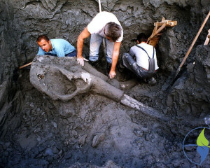 31 515 800 600 80 wm right bottom 100 watermarkpng