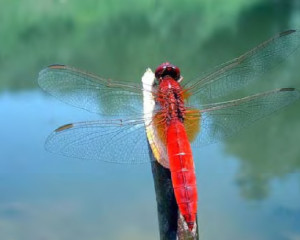 Annotation 2021 03 31 115128