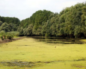 Annotation 2021 03 31 115201