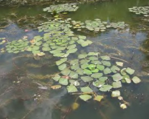 Annotation 2021 04 12 141547