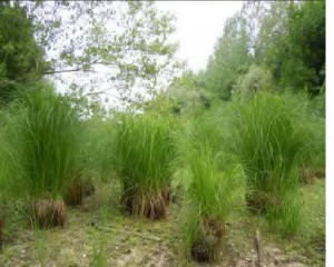 Annotation 2021 04 12 141643