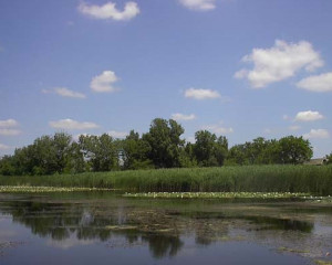 Annotation 2021 04 12 144857