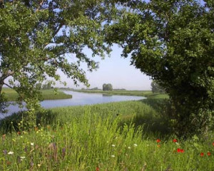 Annotation 2021 04 12 145252