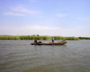 Annotation 2021 04 12 145334