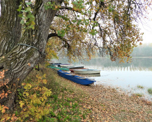 PP BEGECKA JAMA JESEN 2020. Fojkar O  2 