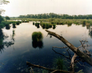 srp gornje podunavlje 3
