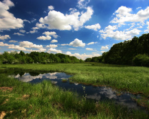 vojvodinaasume 07 resize