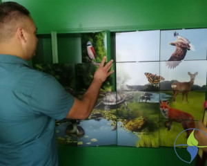   KOLA NA RECI PZZP  1 