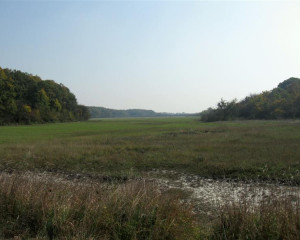 img 3500 biljana panjkovivc  medium 