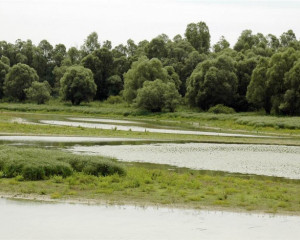 pejsaz 14 vladimir dobretic  large 