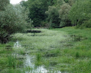 pejsaz 3 vladimir dobretic  large 