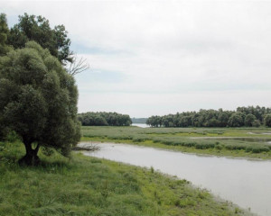 pejsaz 5 vladimir dobretic  large 