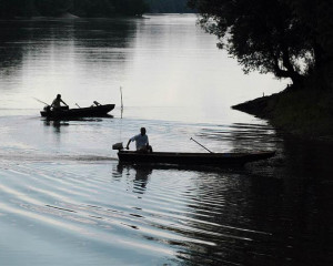 sportski ribolov na gornjem podunavlju vladimir dobretic  medium 