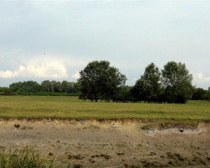 suboticka pescara img 4314  large 