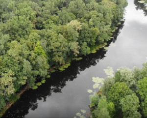 Annotation 2022 03 28 120651